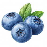 blaubeeren 75g_png