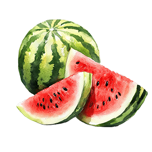 wassermelone_png